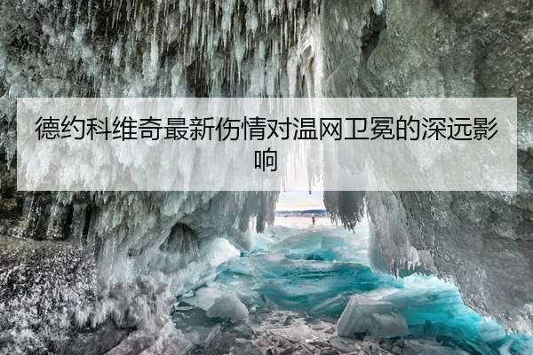 德约科维奇最新伤情对温网卫冕的深远影响