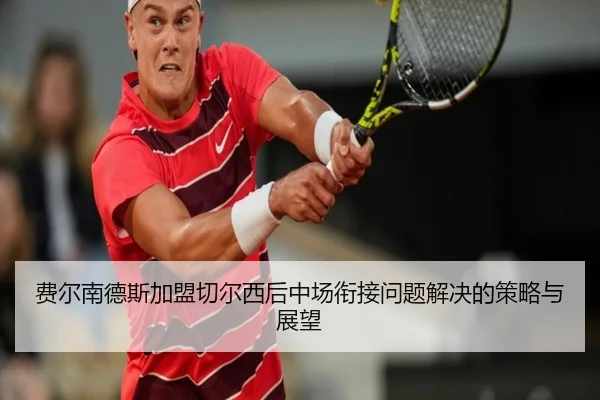 fei-er-nan-de-si-jia-meng-qie-er-xi-hou-zhong-chang-xian-jie-wen-ti-jie-jue-de-ce-lve-yu-zhan-wang-2-981.jpg